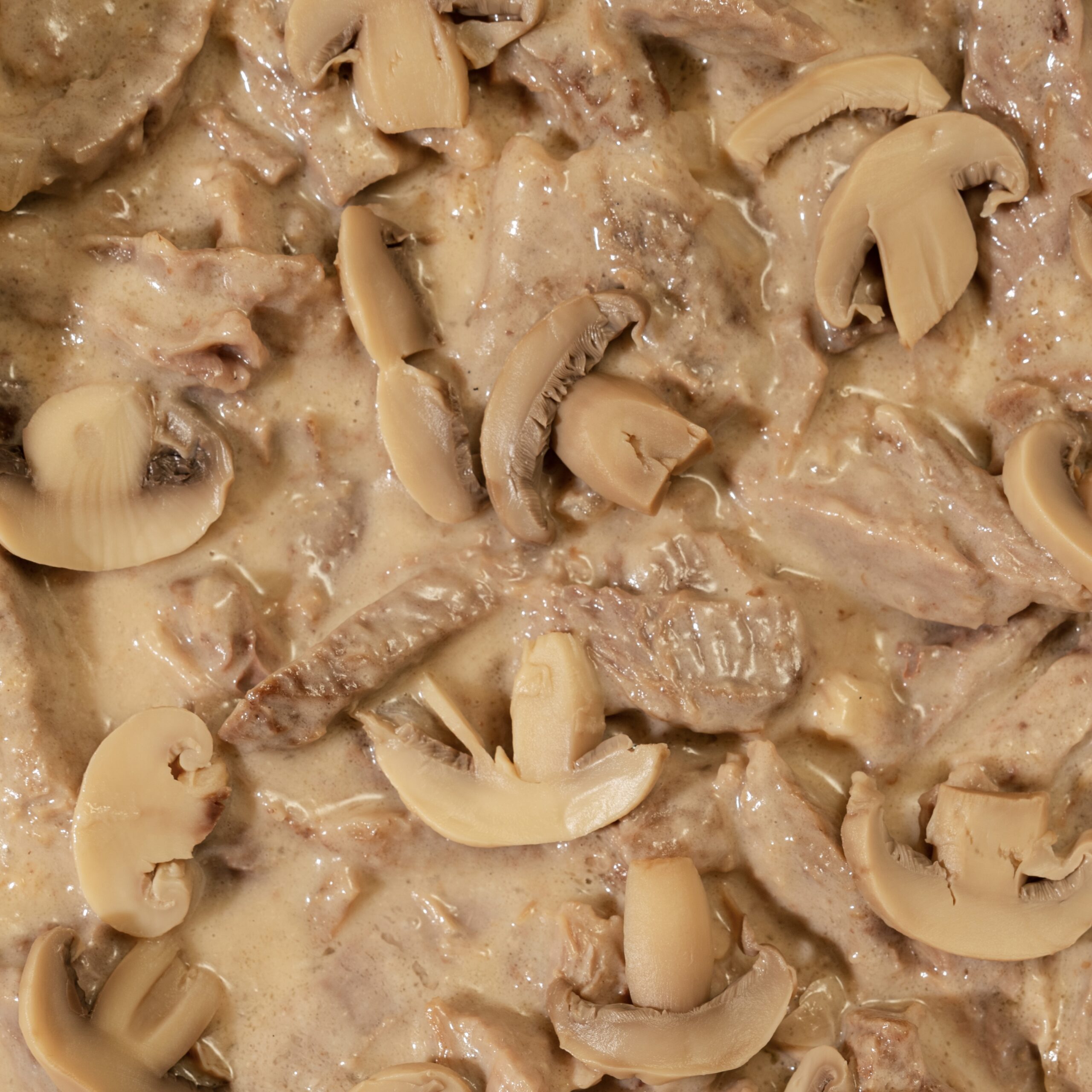 Beef Stroganoff