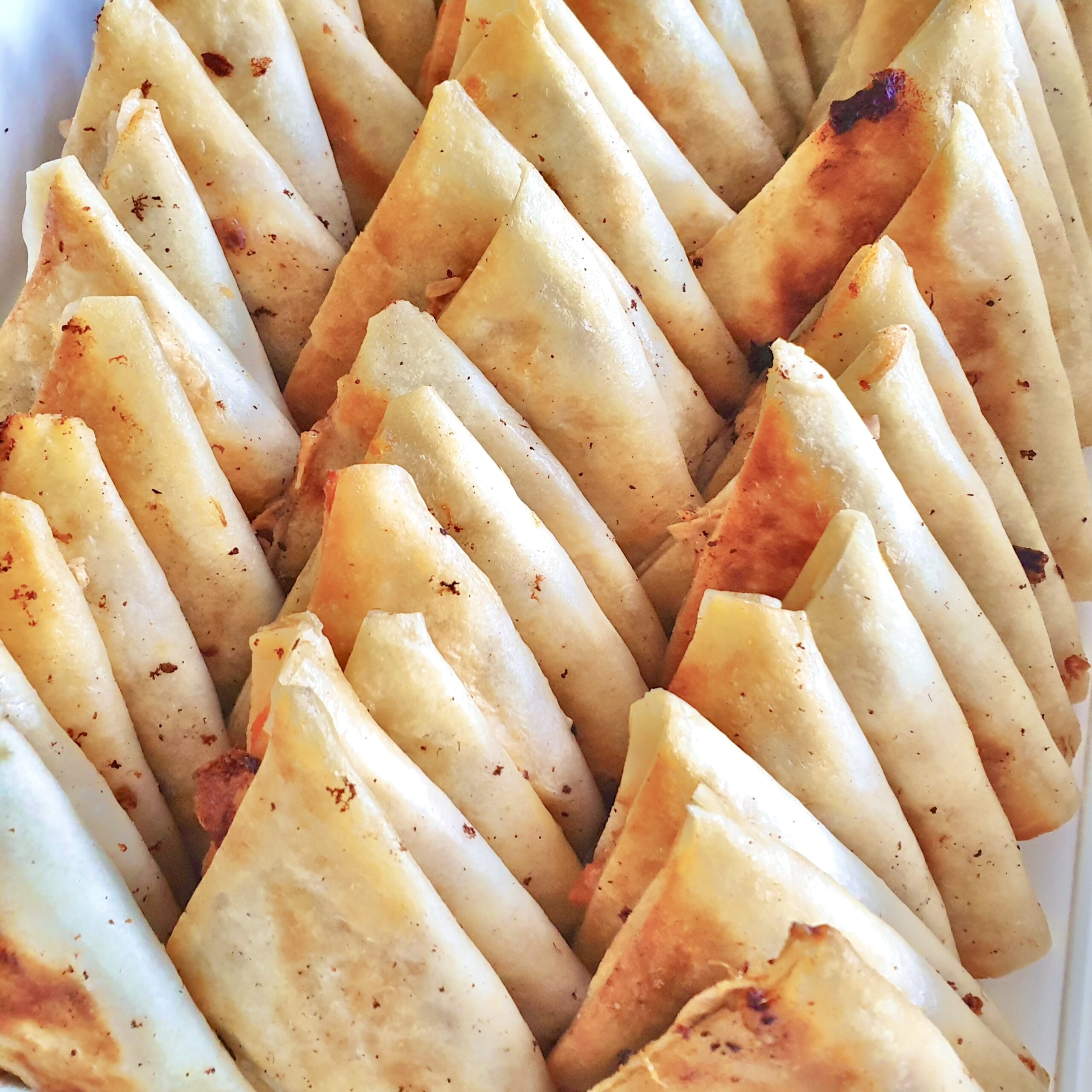 Quesadillas w/ Cheese and Chicken